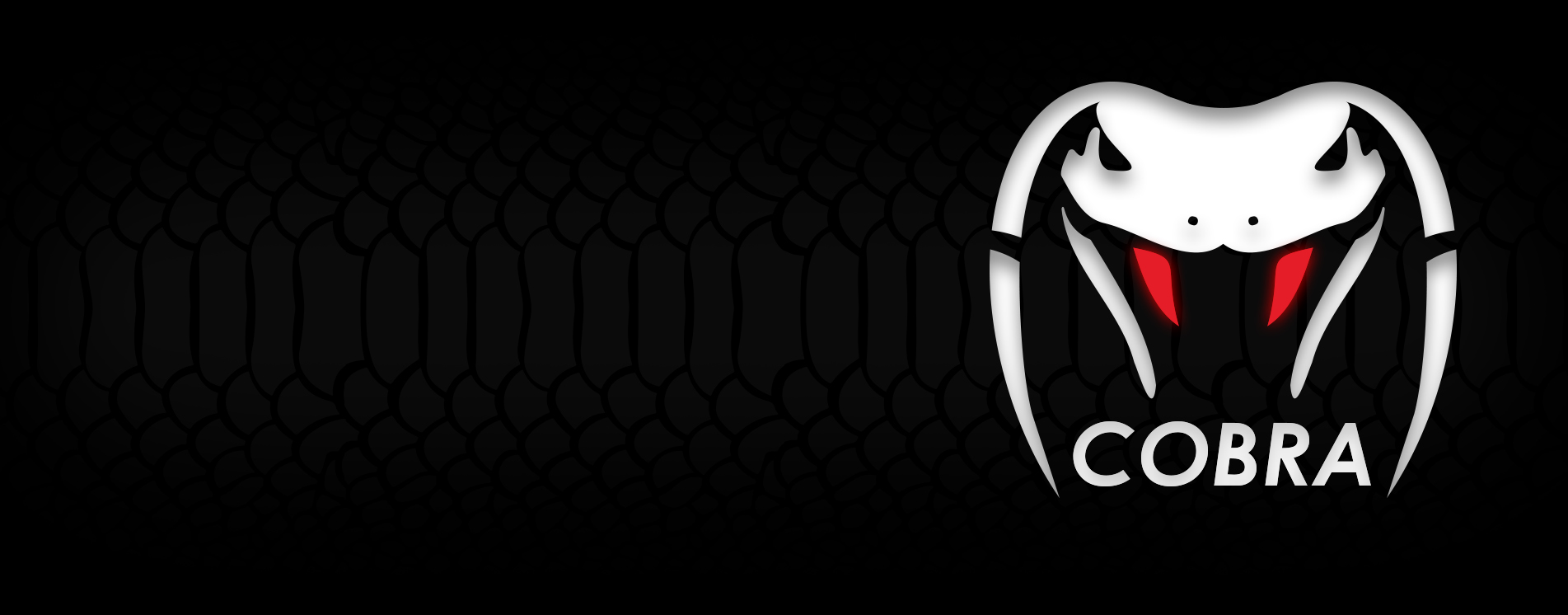 Cobra Website Homepage